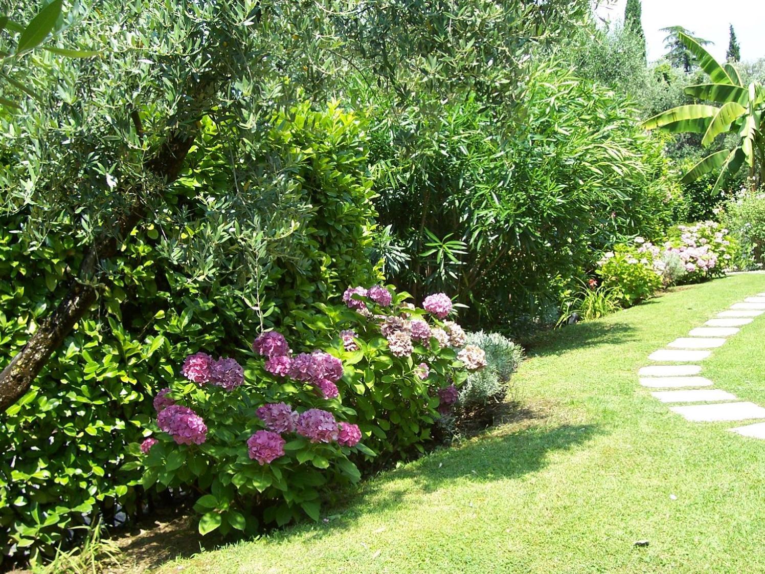 Villa Giada Torri Del Benaco Exteriér fotografie