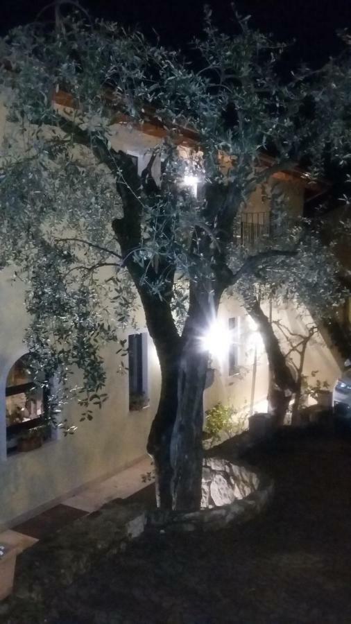 Villa Giada Torri Del Benaco Exteriér fotografie